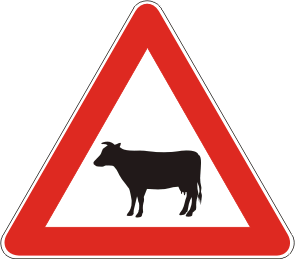 A43